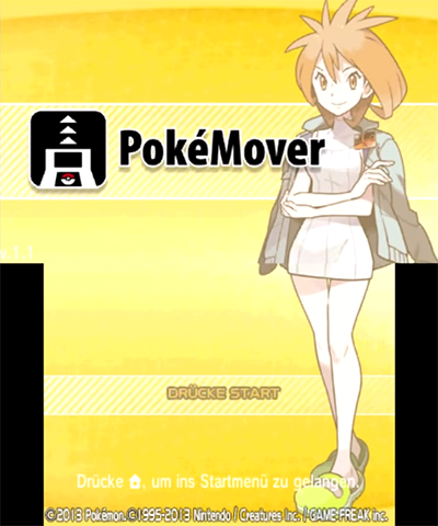 Nintendo 3DS Modding Service inkl. SD Karte - CFW, Pokémon & mehr